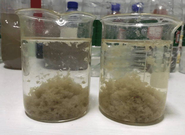 Flocculation of precipitated flocs with flocculants