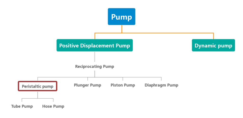 Classification of peristaltic pump